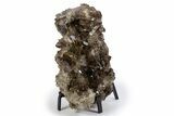 Dark Smoky Quartz Crystal Cluster on Metal Stand - Brazil #300616-1